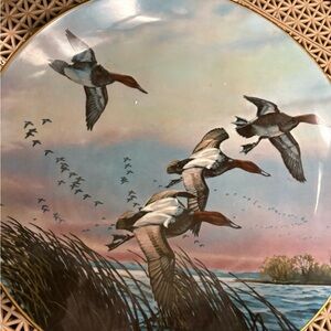 David Maass Limited Edition “Canvasbacks”